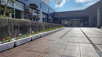 20261017_092927.jpg