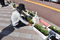 DSC_0031.JPG